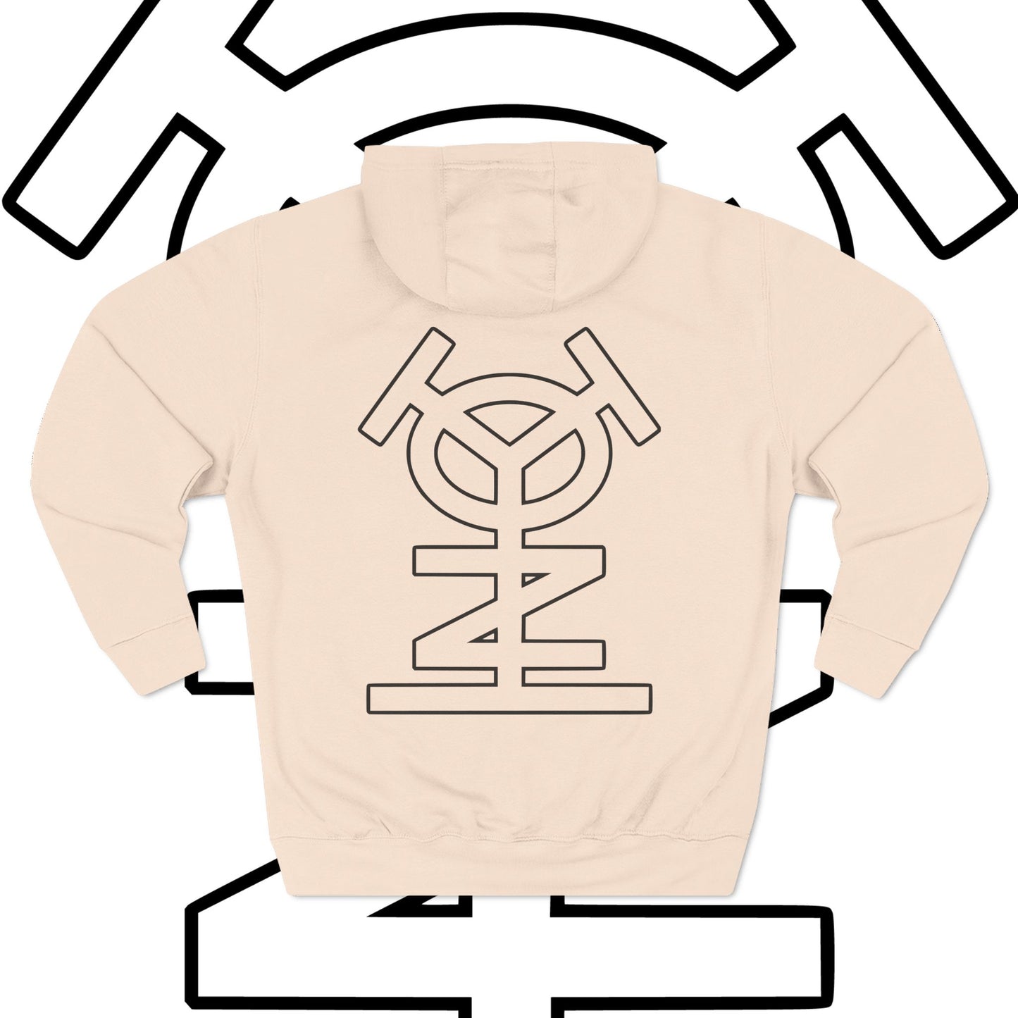 Three-Panel Fleece Hoodie - "ENVYD I YONA"